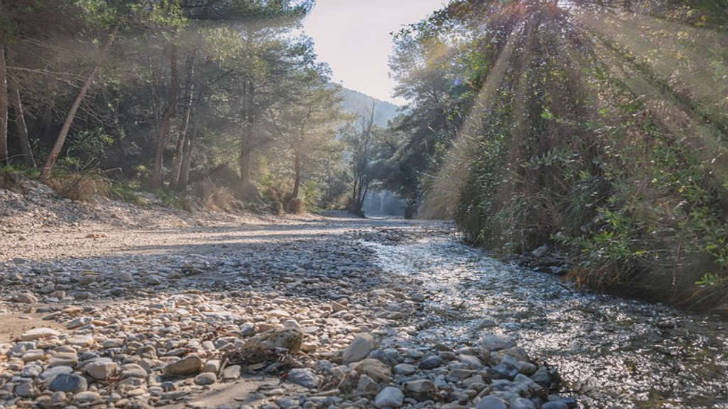 chiller soğutma sistemleri nedir